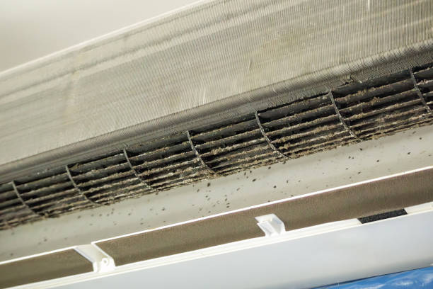 Best Affordable Duct Cleaning Services  in Shady Spring, WV